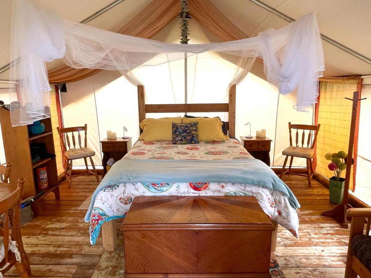 So Damn Lucky Glamping Hotel Ucluelet Eksteriør billede