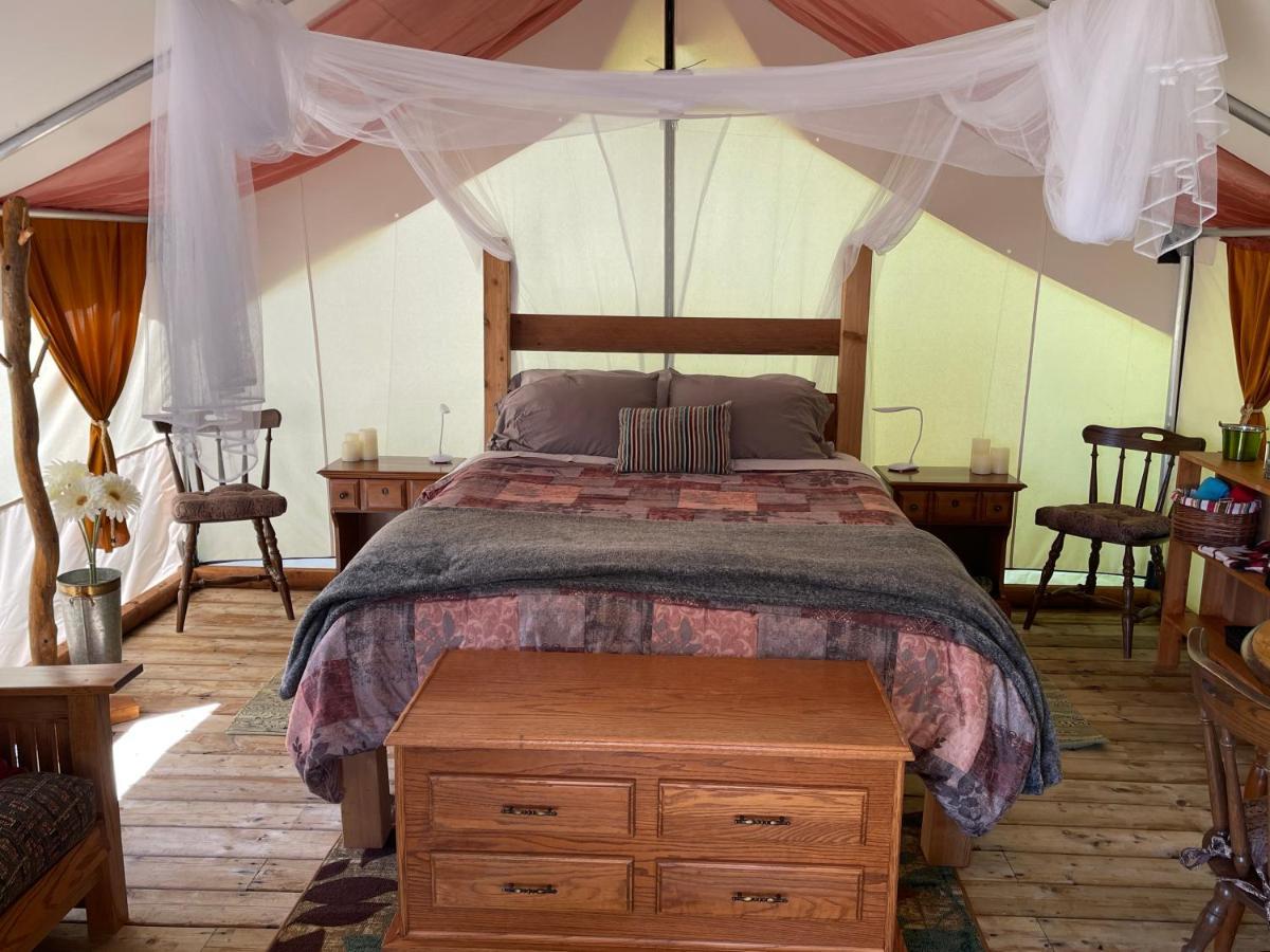 So Damn Lucky Glamping Hotel Ucluelet Eksteriør billede