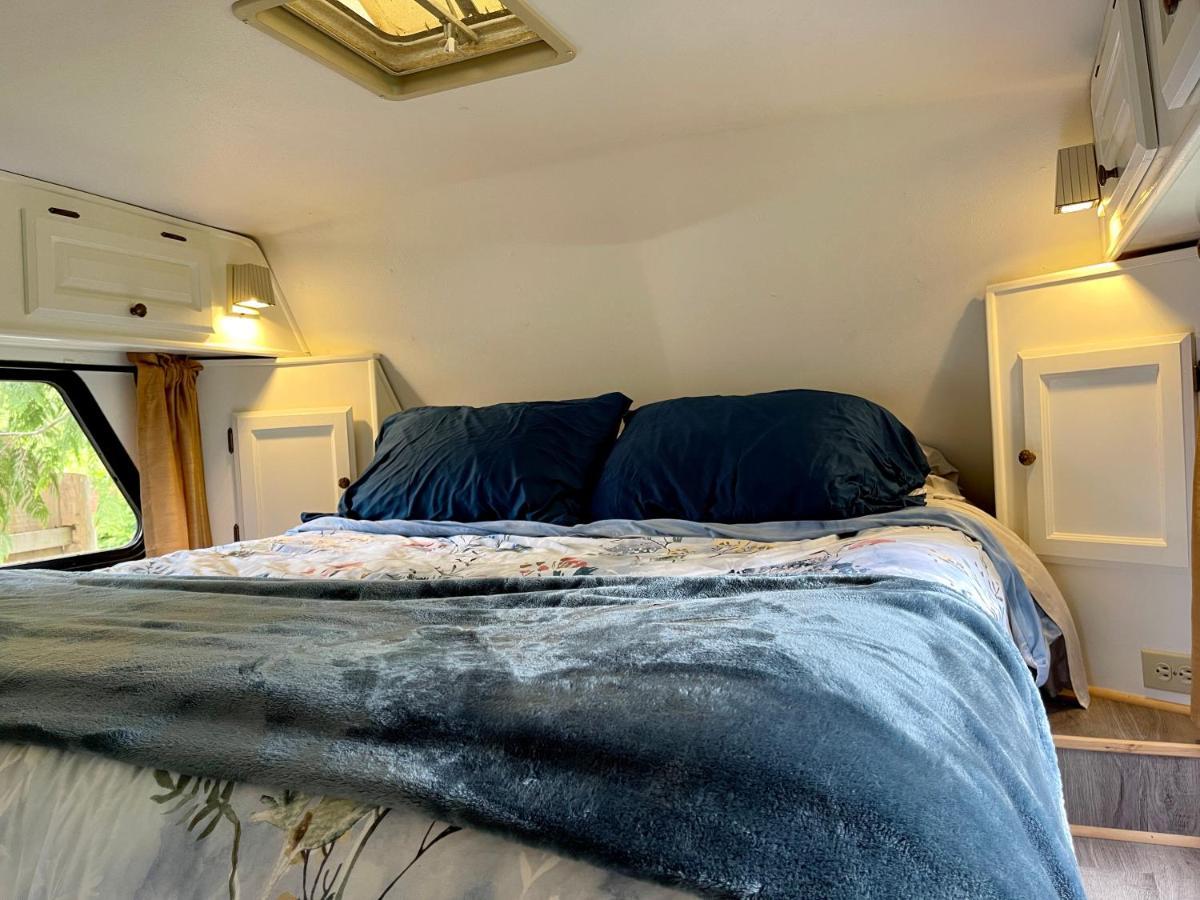 So Damn Lucky Glamping Hotel Ucluelet Eksteriør billede