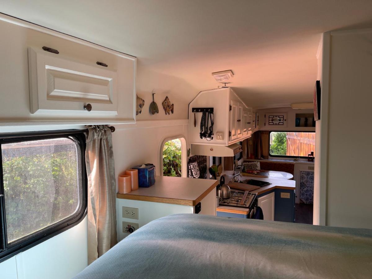 So Damn Lucky Glamping Hotel Ucluelet Eksteriør billede
