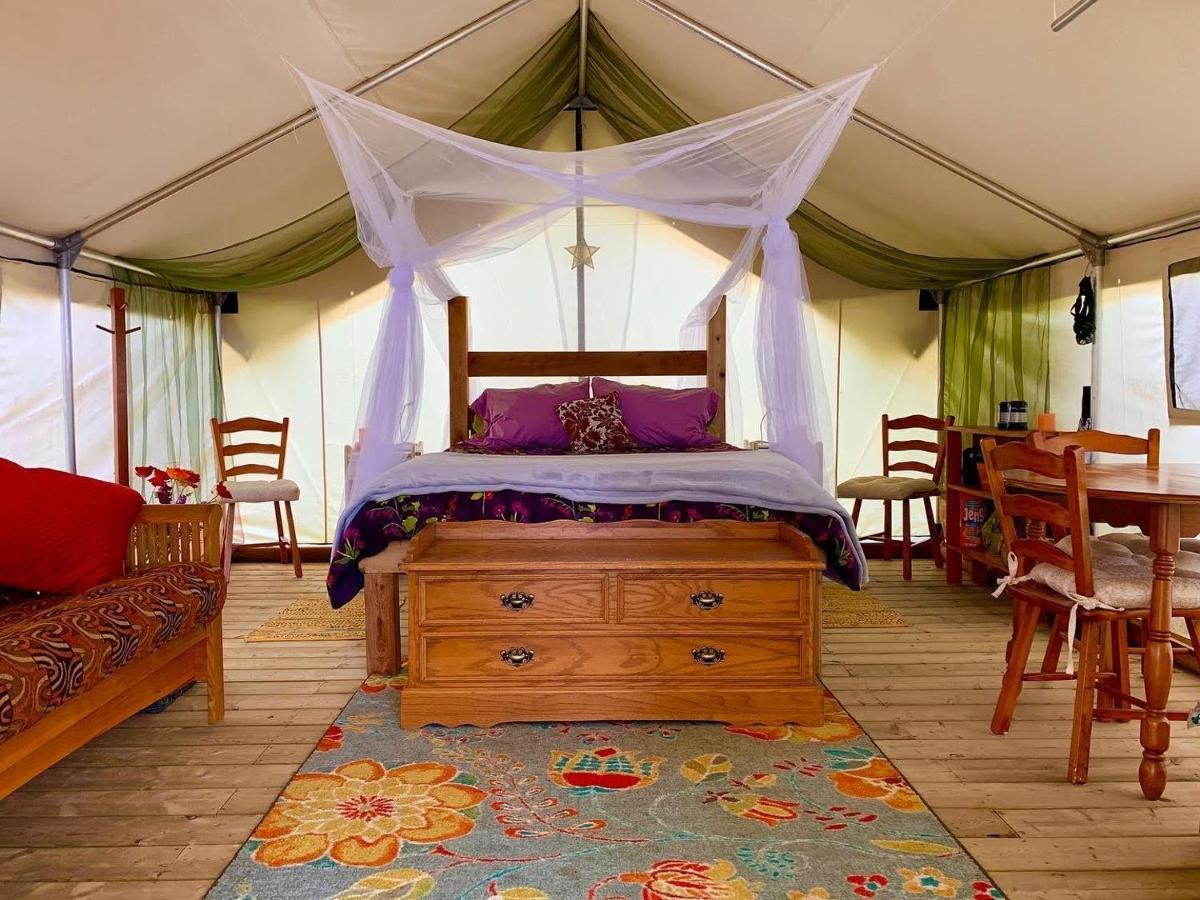 So Damn Lucky Glamping Hotel Ucluelet Eksteriør billede