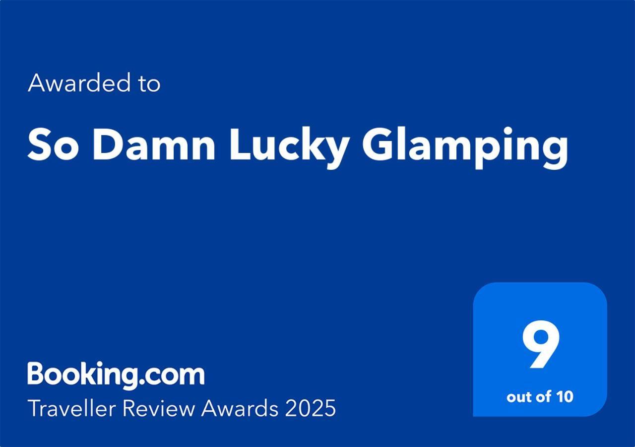 So Damn Lucky Glamping Hotel Ucluelet Eksteriør billede
